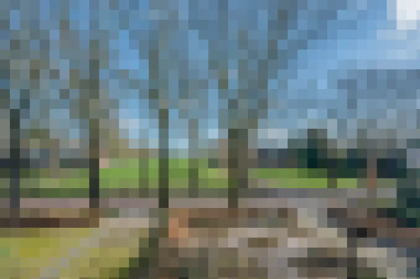 Hoofdweg 45 Bellingwolde thumbnail 9
