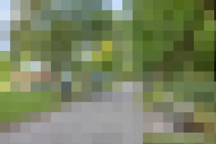 Hoofdweg 451 3 Amsterdam thumbnail 33