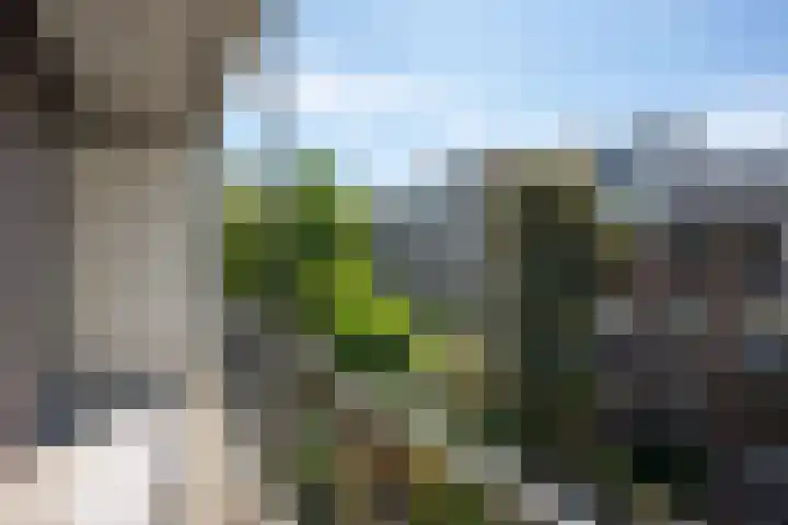 Hoofdweg 455 2 Amsterdam thumbnail 18