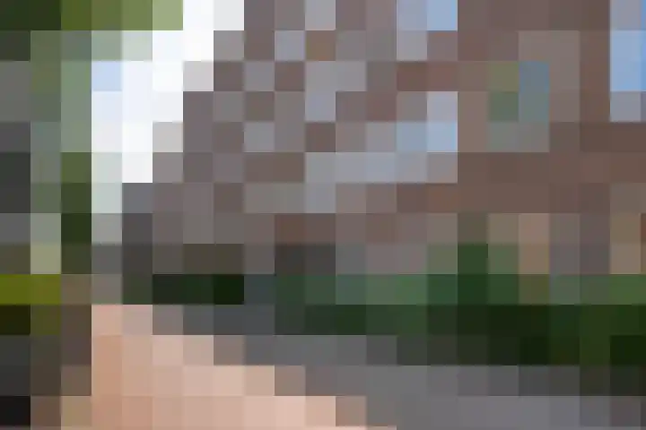 Hoofdweg 455 2 Amsterdam thumbnail 22