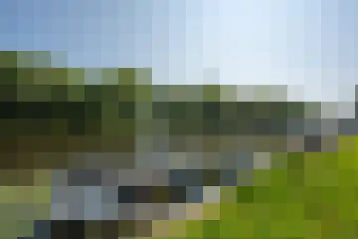 Hoofdweg 455 2 Amsterdam thumbnail 27