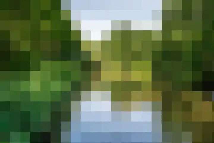 Hoofdweg 455 2 Amsterdam thumbnail 28