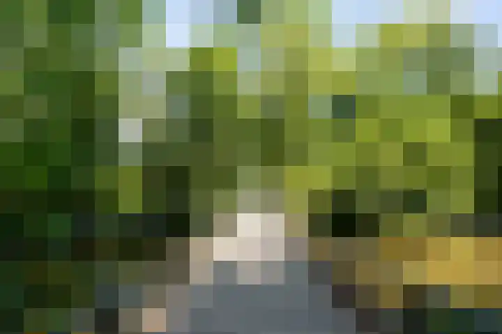 Hoofdweg 455 2 Amsterdam thumbnail 29