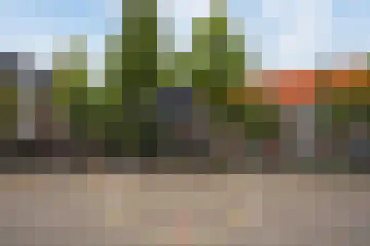 Hoofdweg 455 2 Amsterdam thumbnail 33