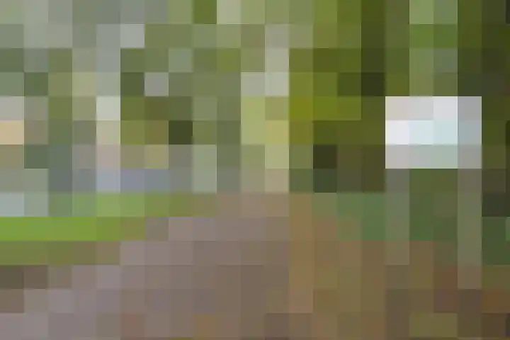 Hoofdweg 468 Amsterdam thumbnail 31