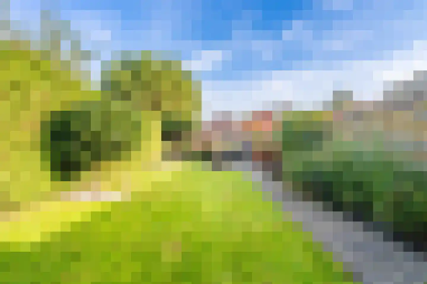 Hoofdweg 47 Wedde thumbnail 14