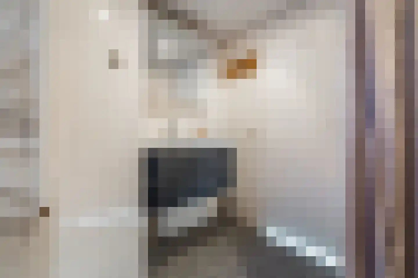 Hoofdweg 47 Wedde thumbnail 35