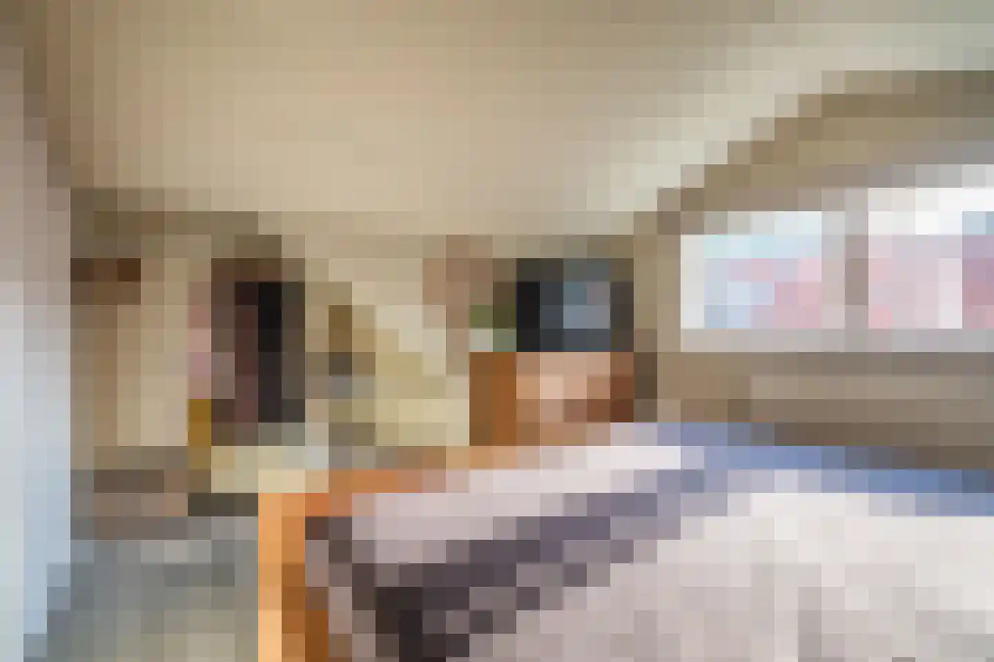 Hoofdweg 47 Wedde thumbnail 43