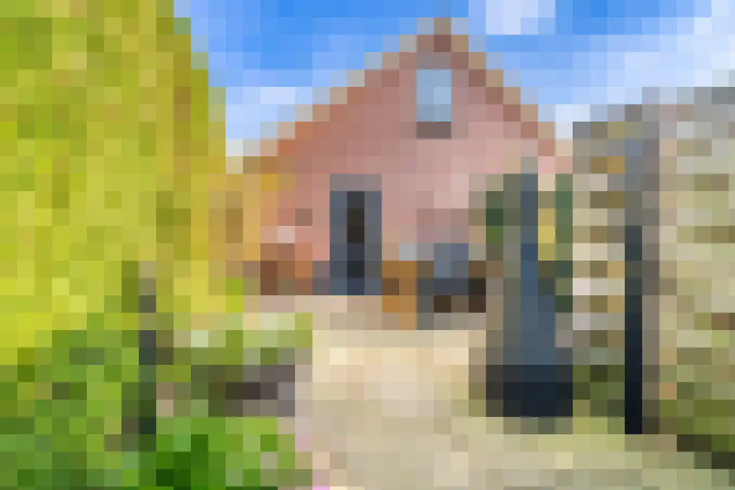 Hoofdweg 47 Wedde thumbnail 8