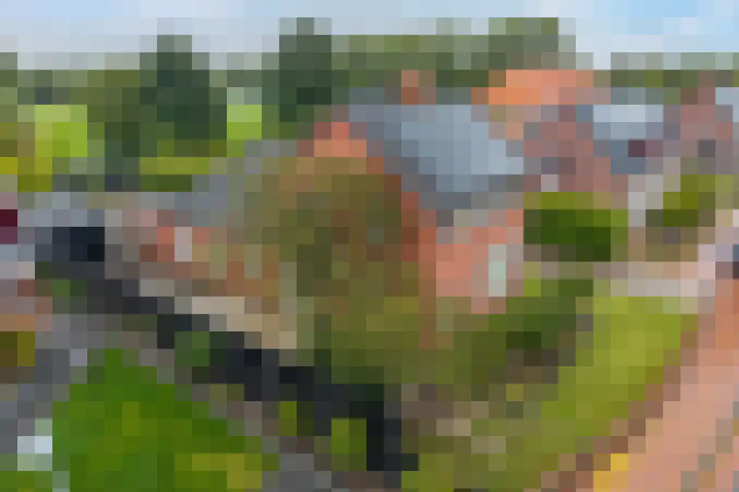 Hoofdweg 48 Holwierde thumbnail 10