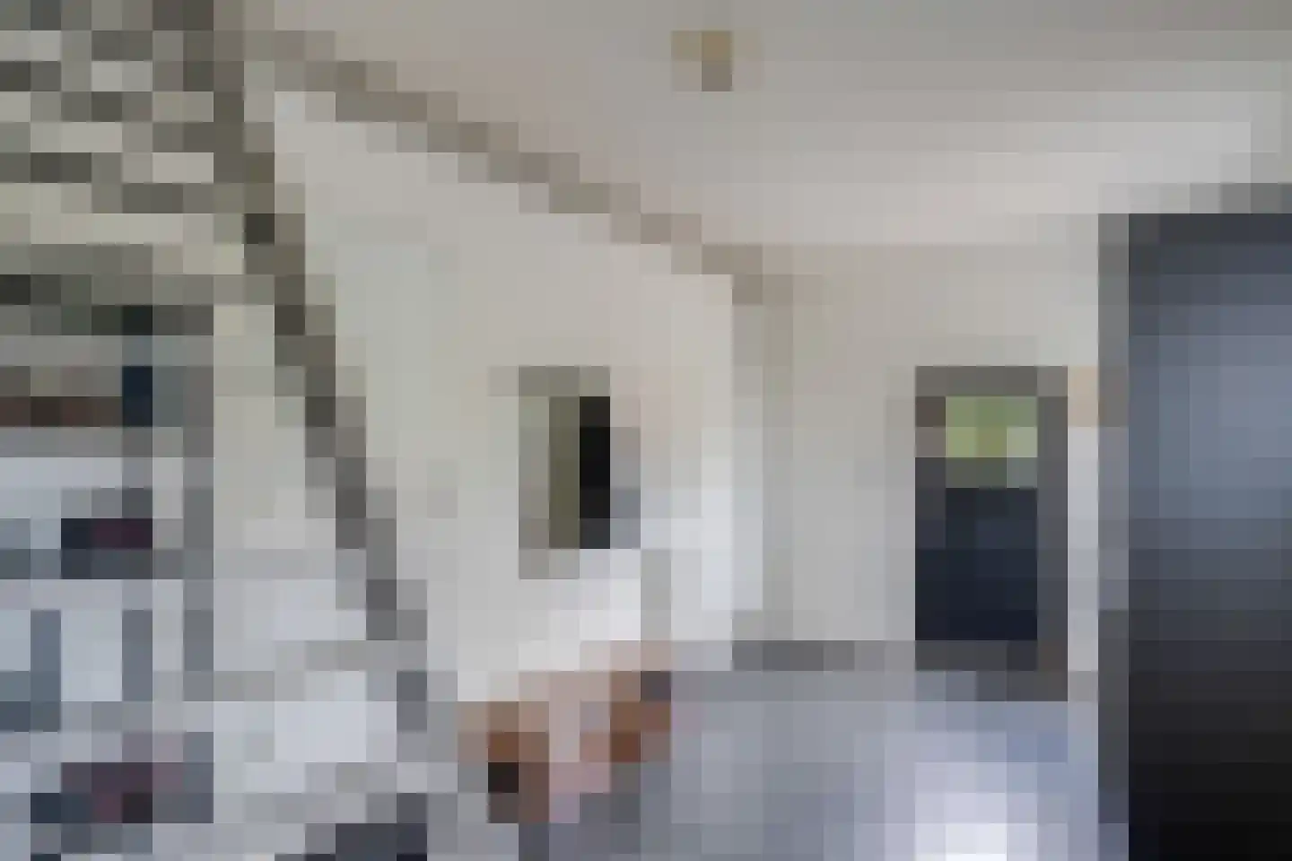Hoofdweg 48 Holwierde thumbnail 38