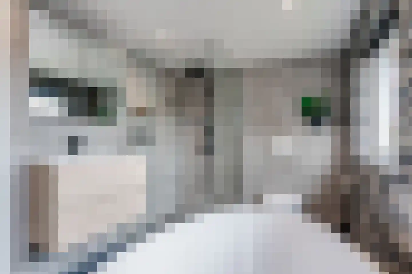 Hoofdweg 48 Holwierde thumbnail 50