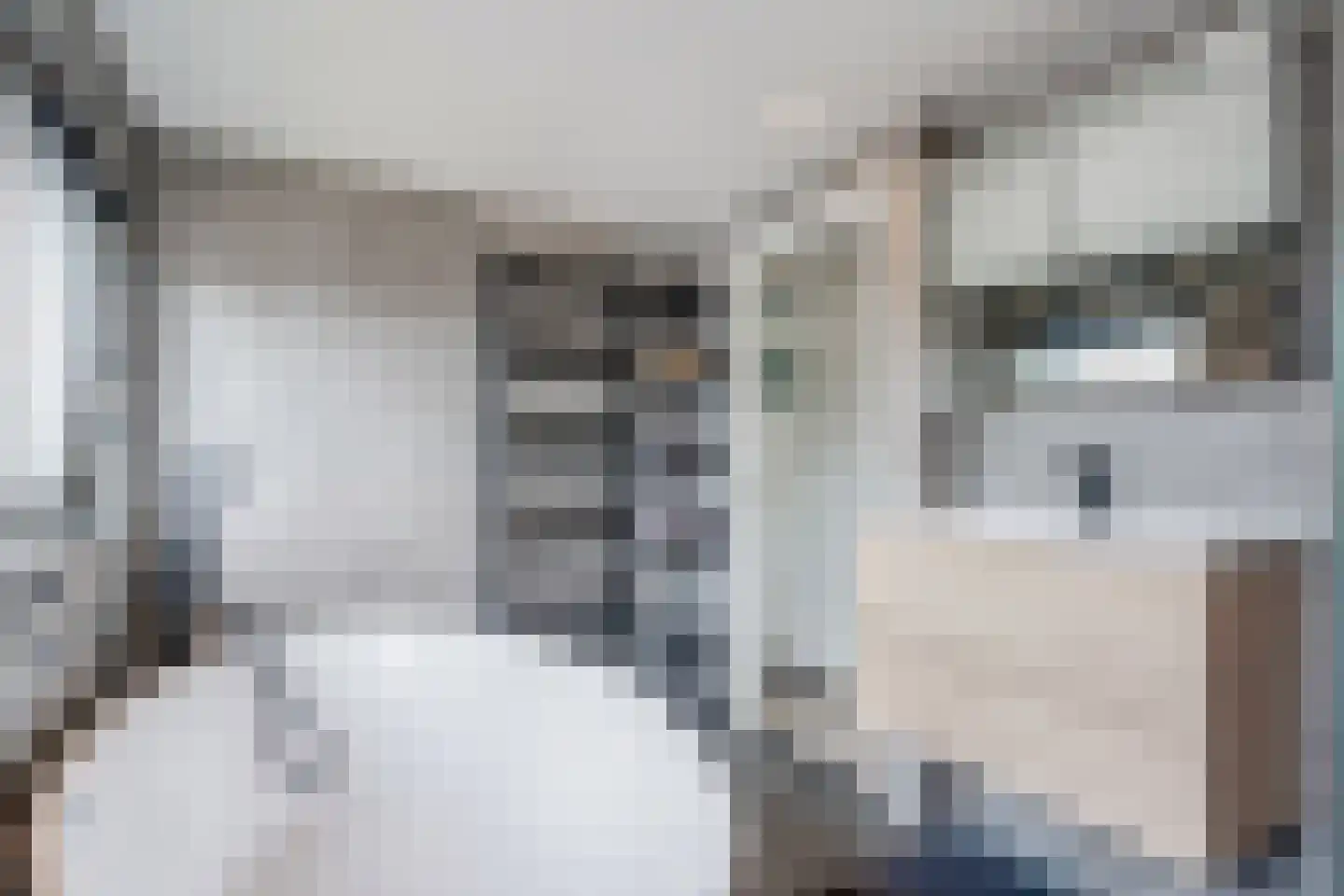 Hoofdweg 48 Holwierde thumbnail 52