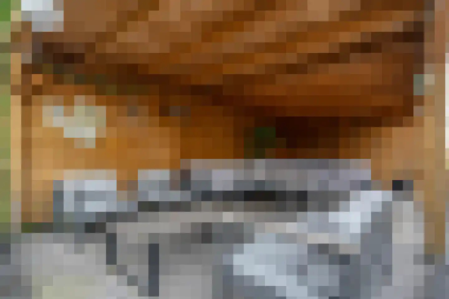Hoofdweg 48 Holwierde thumbnail 60
