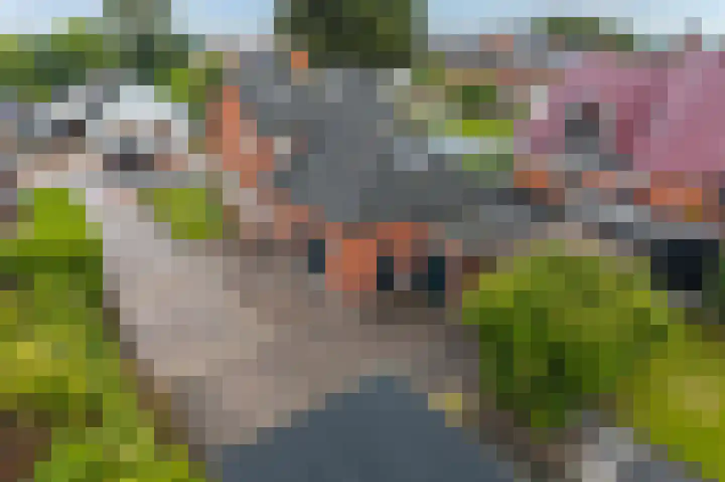 Hoofdweg 48 Holwierde thumbnail 64