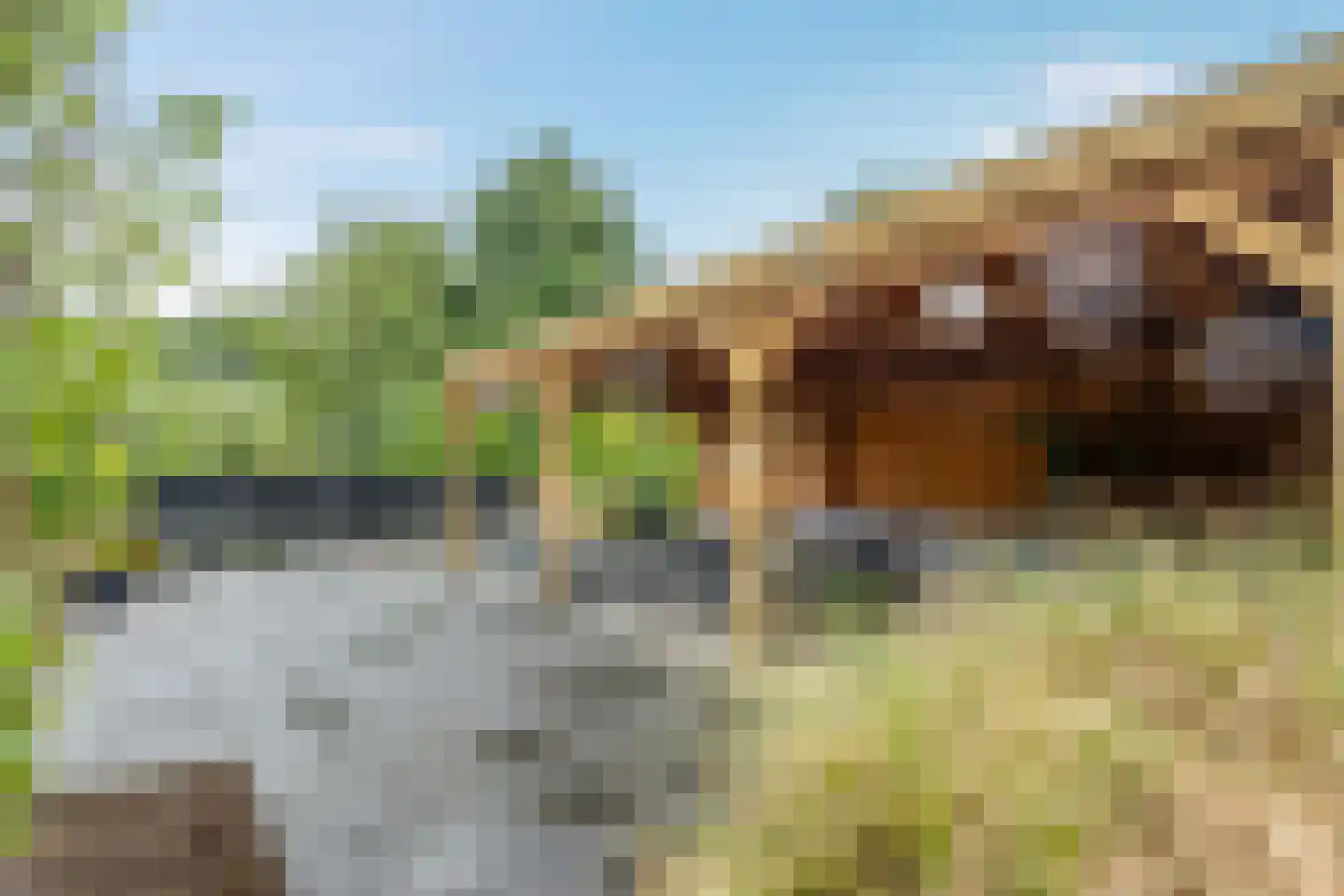 Hoofdweg 48 Holwierde thumbnail 8
