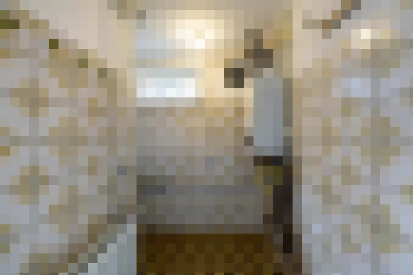 Hoofdweg 48 Slochteren thumbnail 31