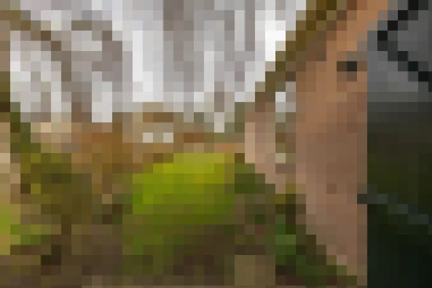 Hoofdweg 48 Slochteren thumbnail 61
