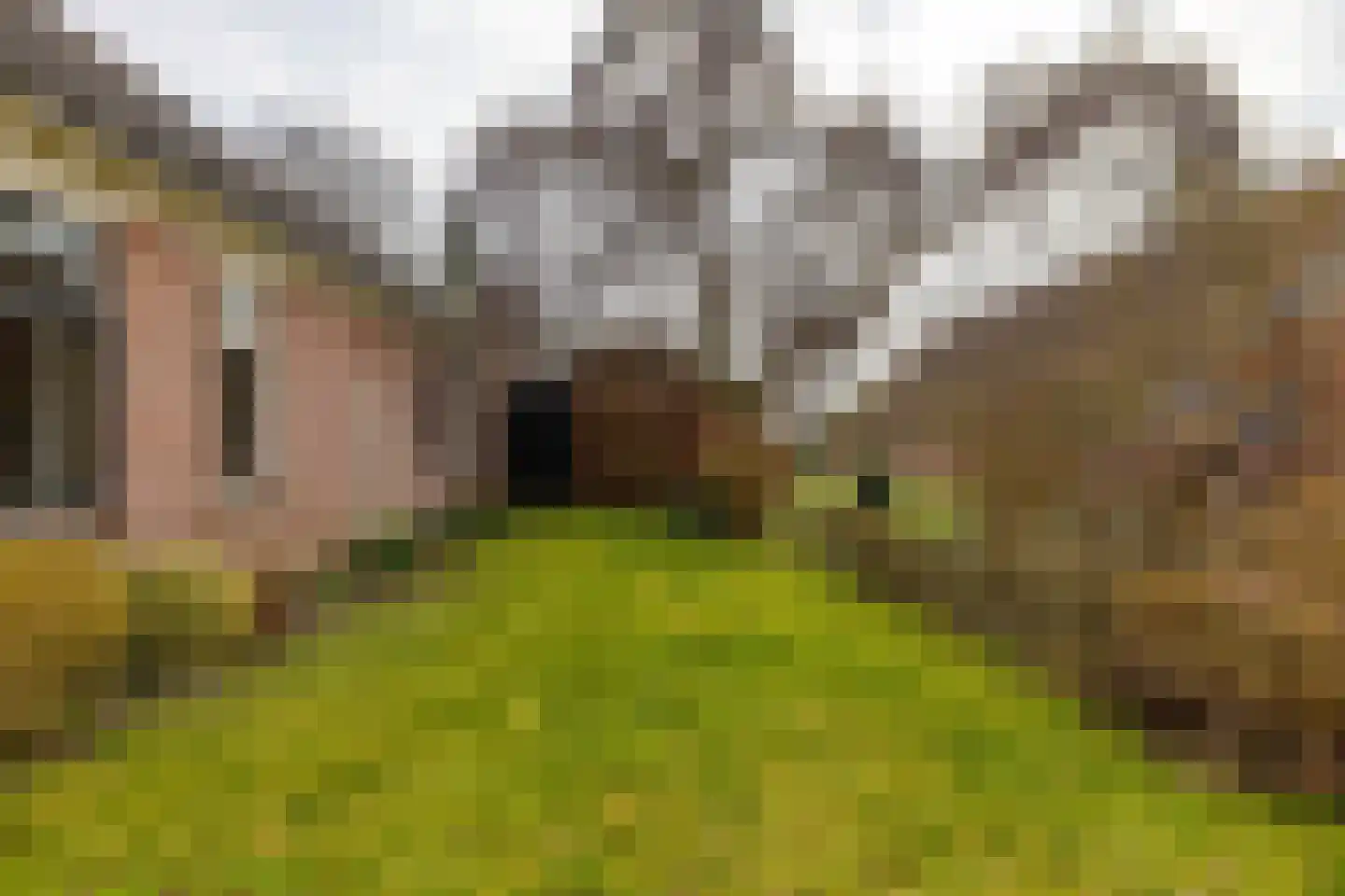 Hoofdweg 48 Slochteren thumbnail 62