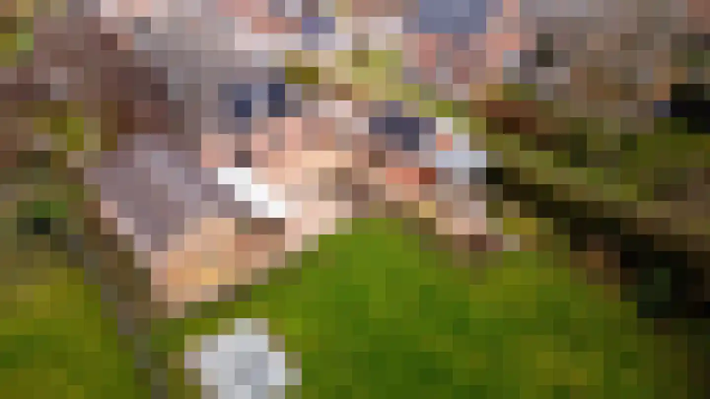 Hoofdweg 48 Slochteren thumbnail 65