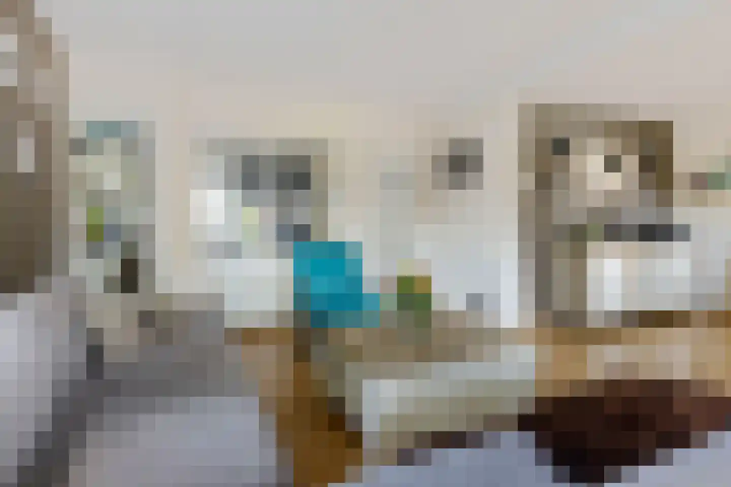 Hoofdweg 49 Froombosch thumbnail 14