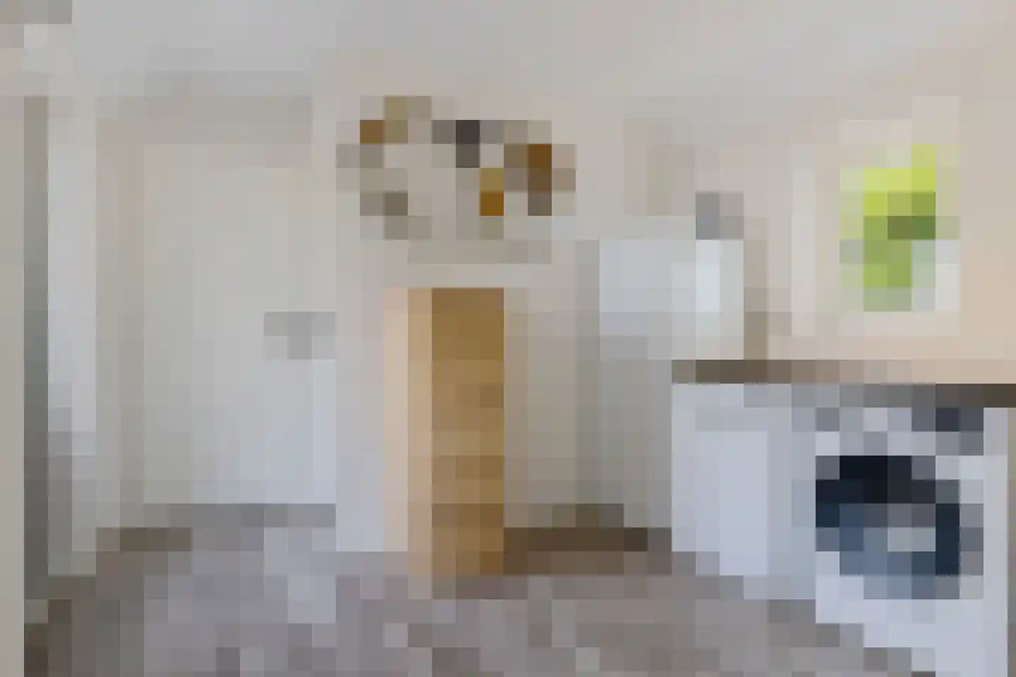 Hoofdweg 49 Froombosch thumbnail 23