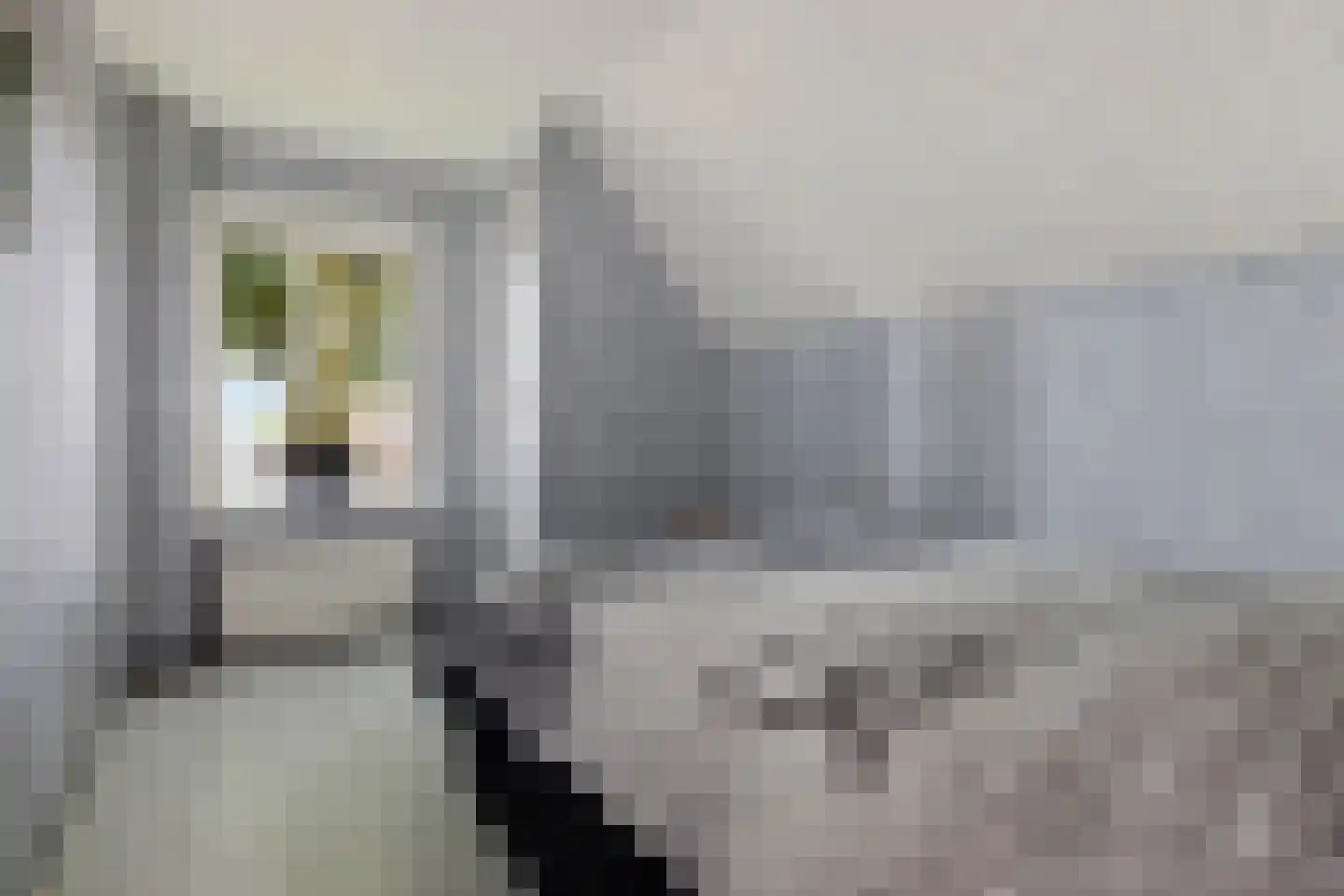 Hoofdweg 49 Froombosch thumbnail 34