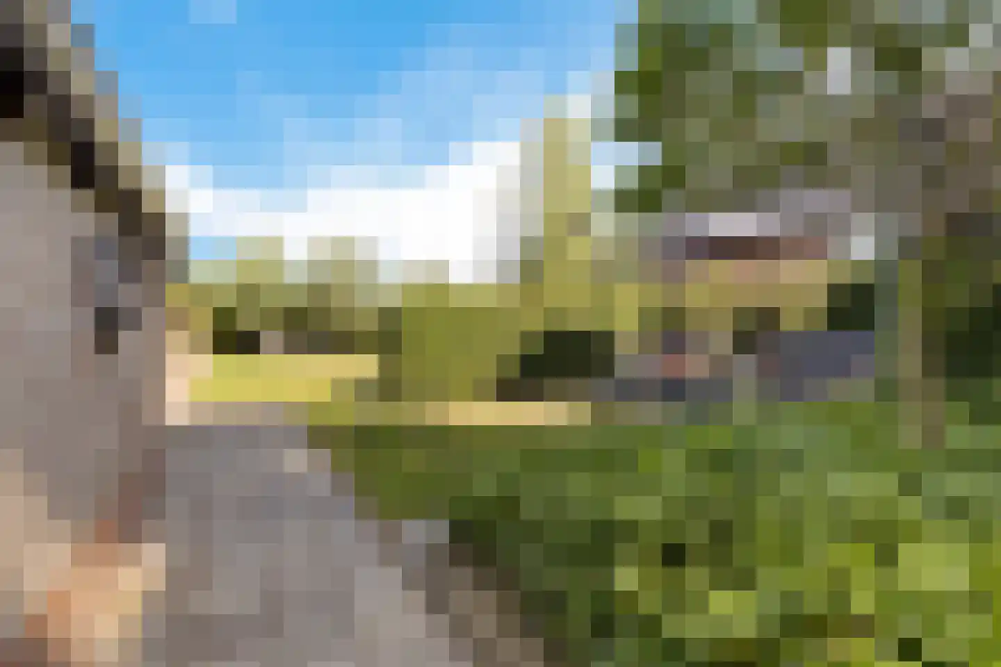 Hoofdweg 49 Froombosch thumbnail 40
