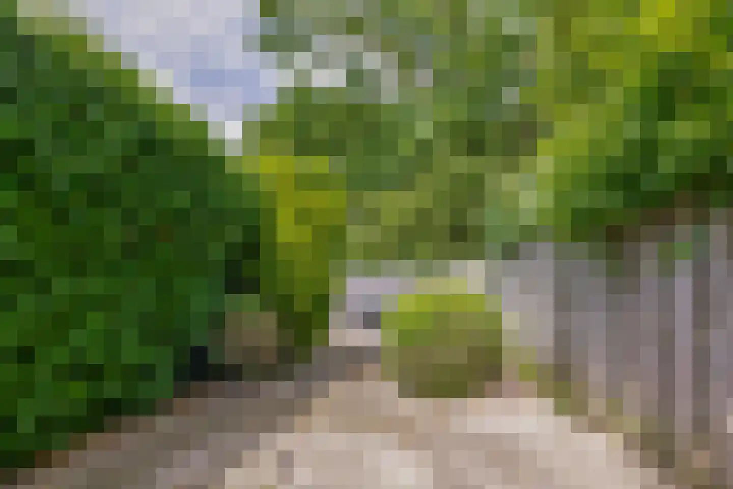Hoofdweg 5 Midwolda thumbnail 37
