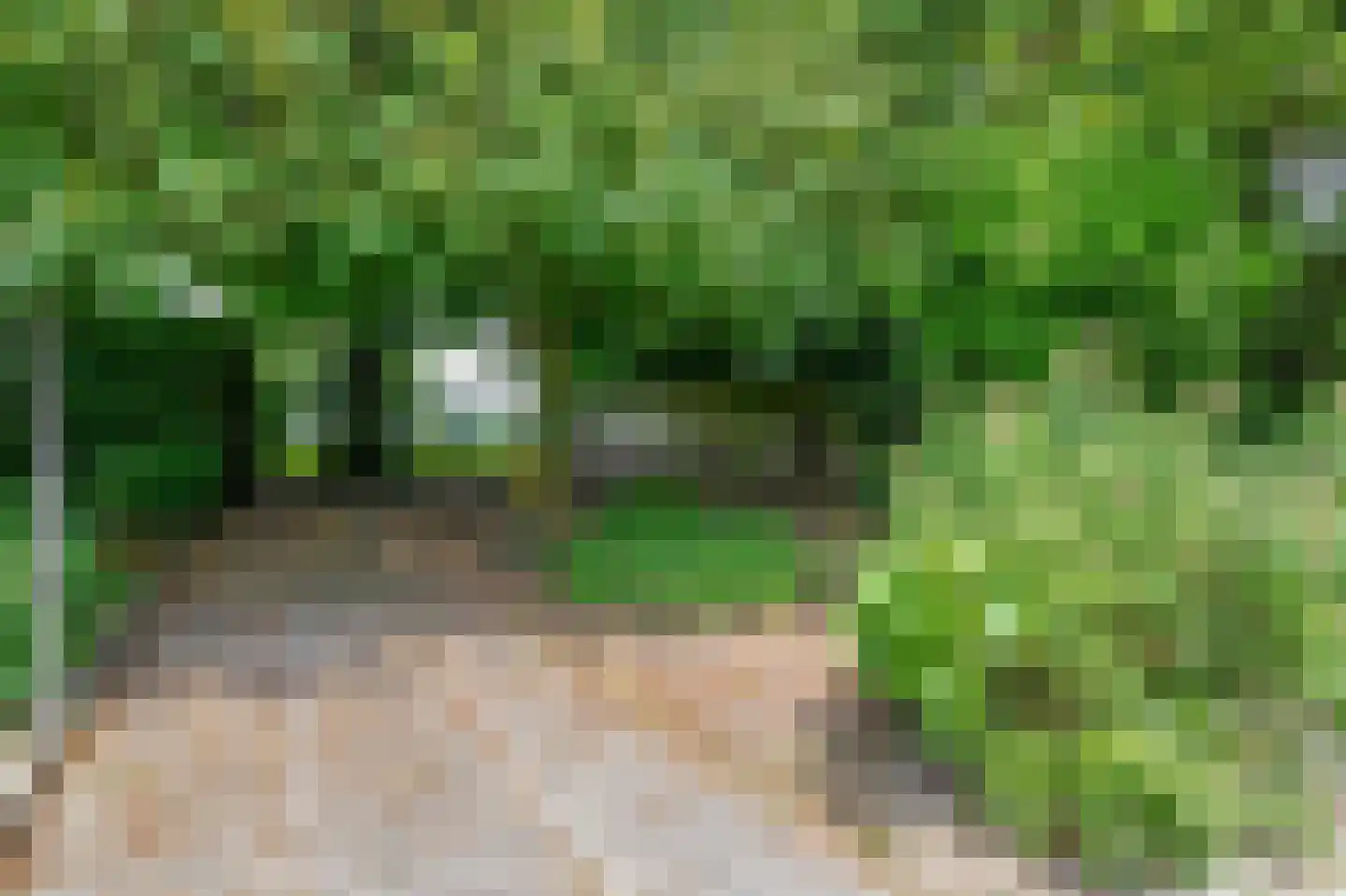 Hoofdweg 5 Midwolda thumbnail 39