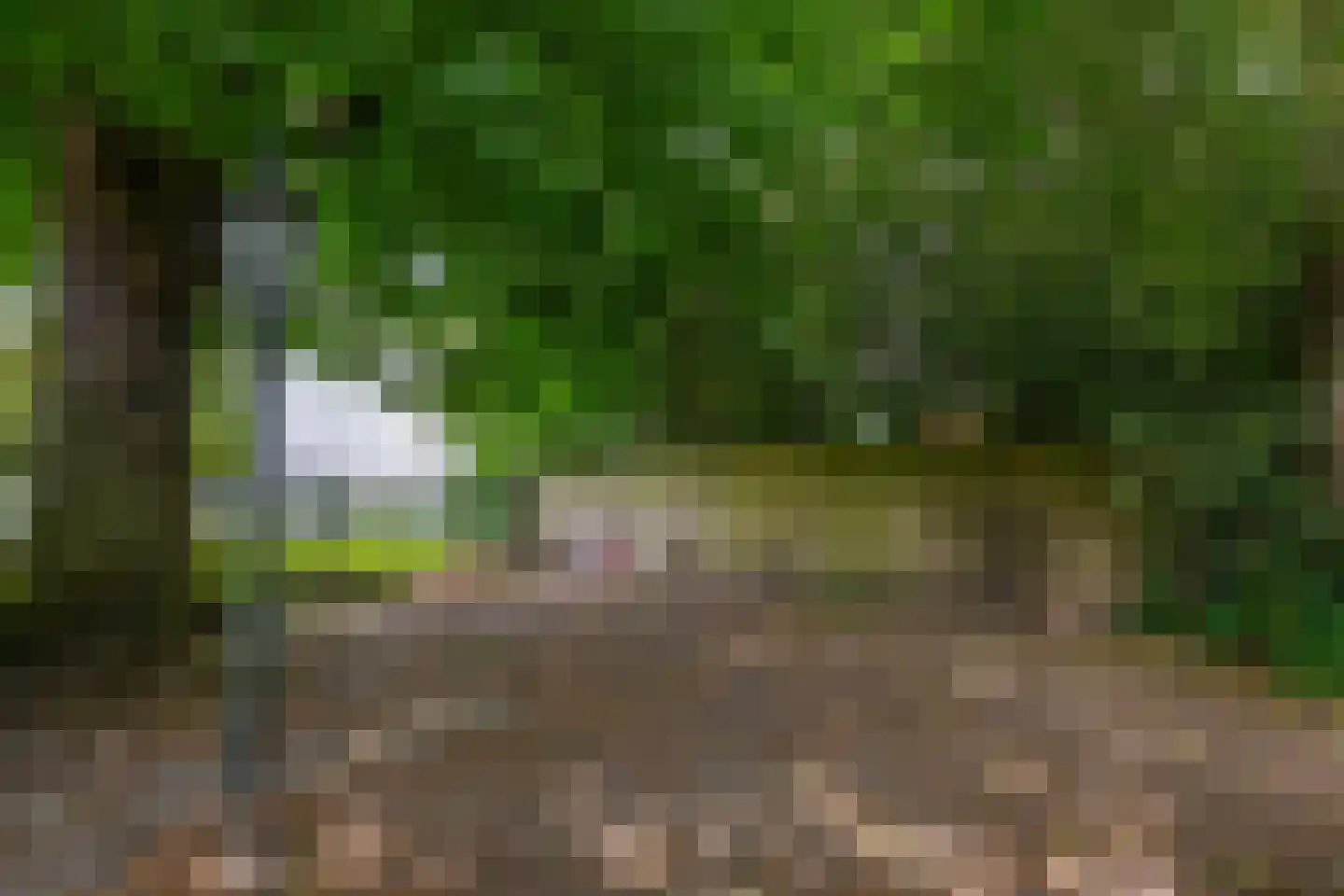 Hoofdweg 5 Midwolda thumbnail 40