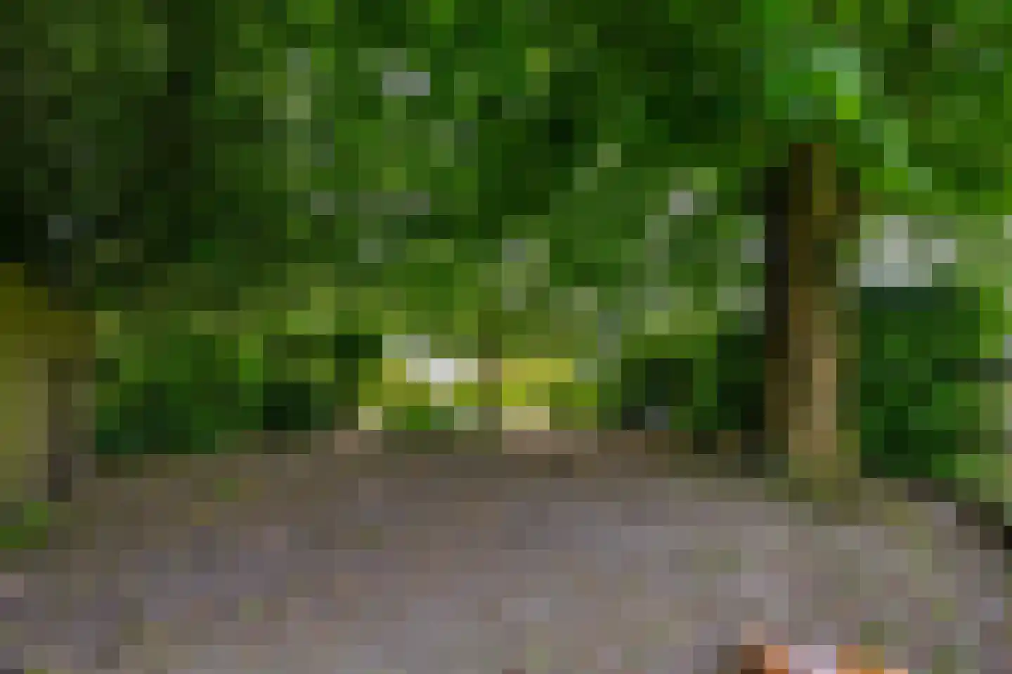 Hoofdweg 5 Midwolda thumbnail 41