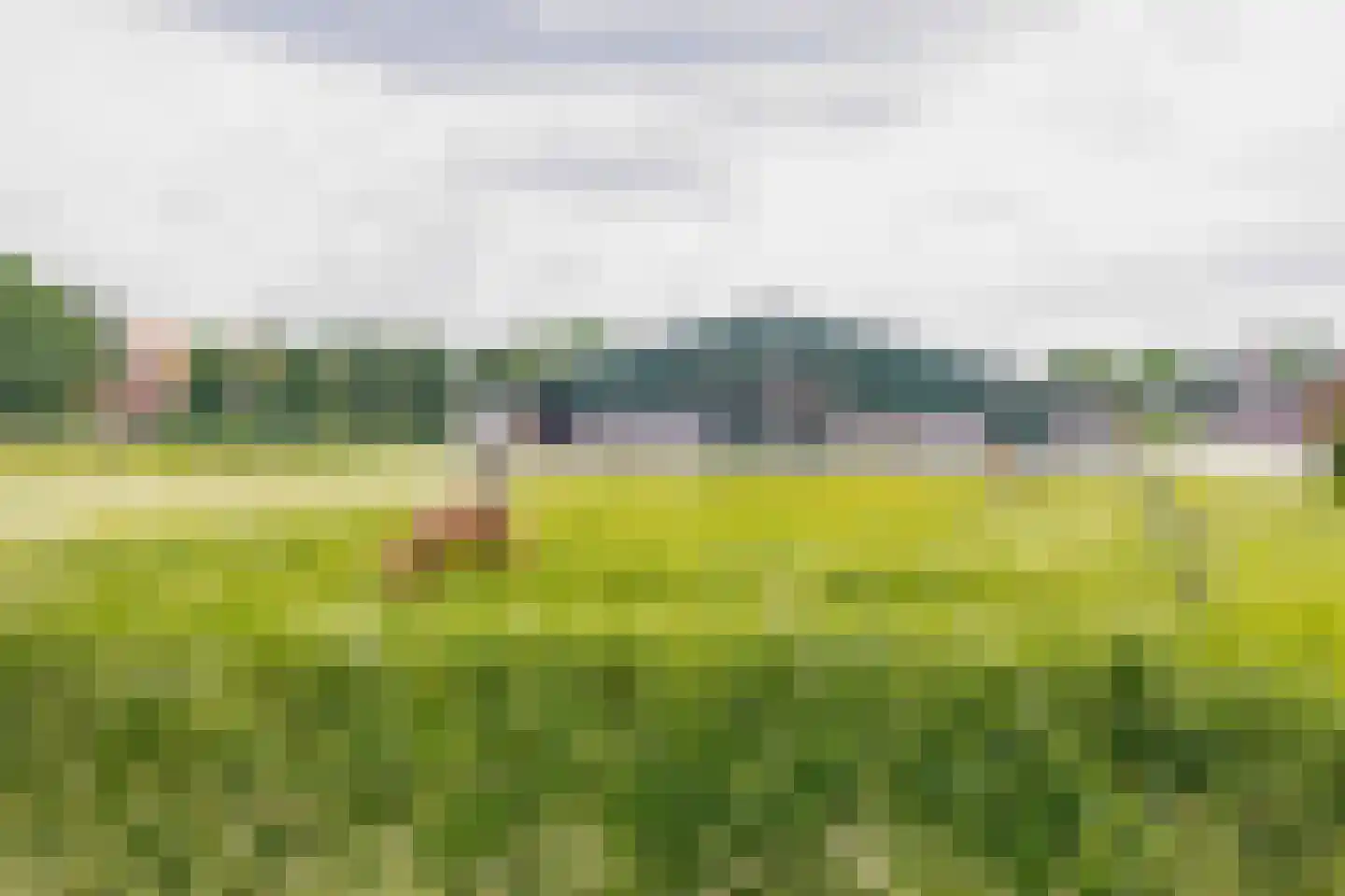 Hoofdweg 5 Midwolda thumbnail 42