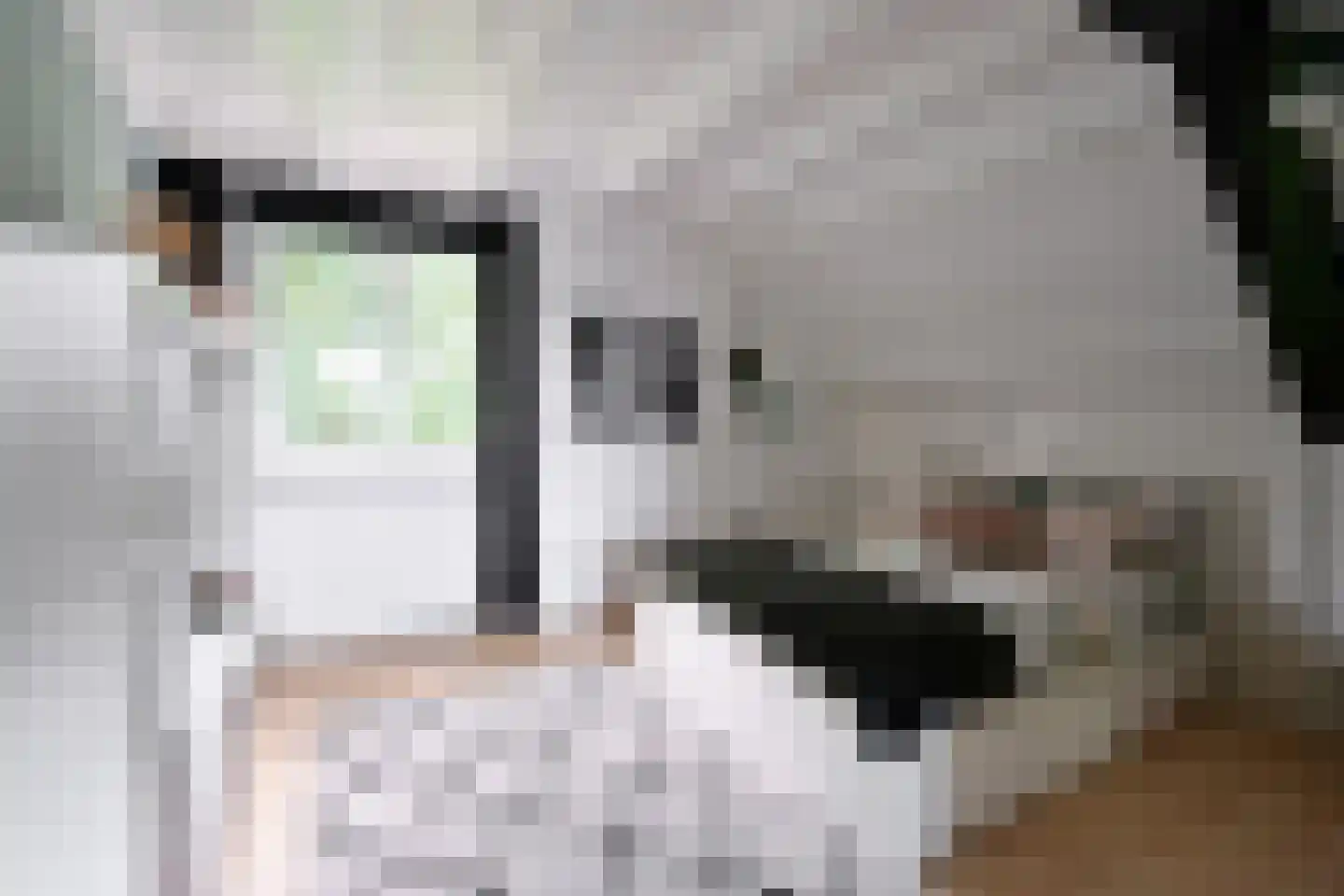Hoofdweg 50 Huizen thumbnail 16
