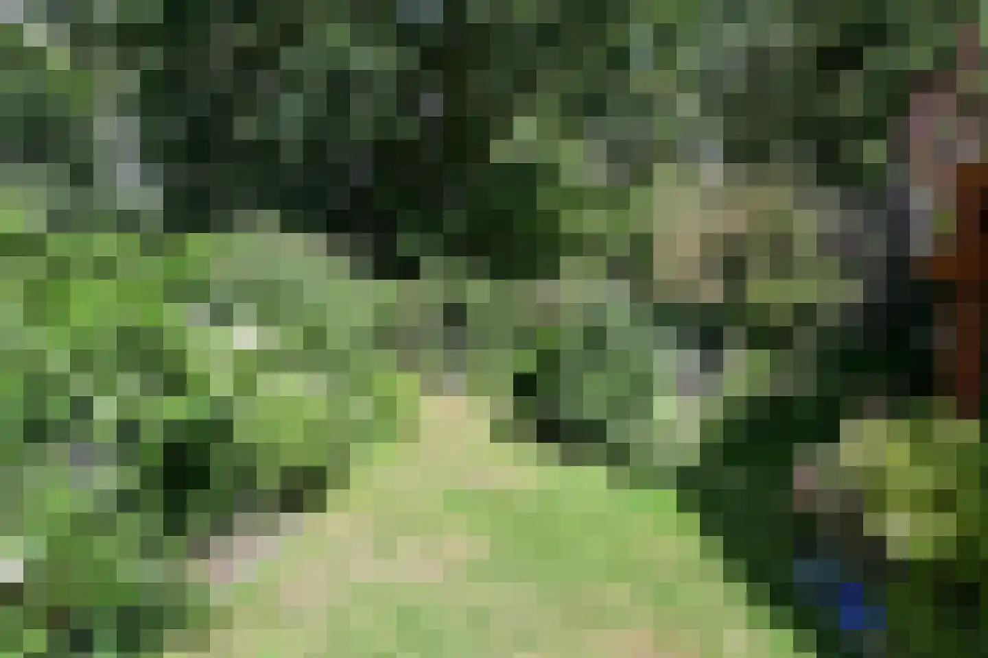Hoofdweg 50 Huizen thumbnail 20