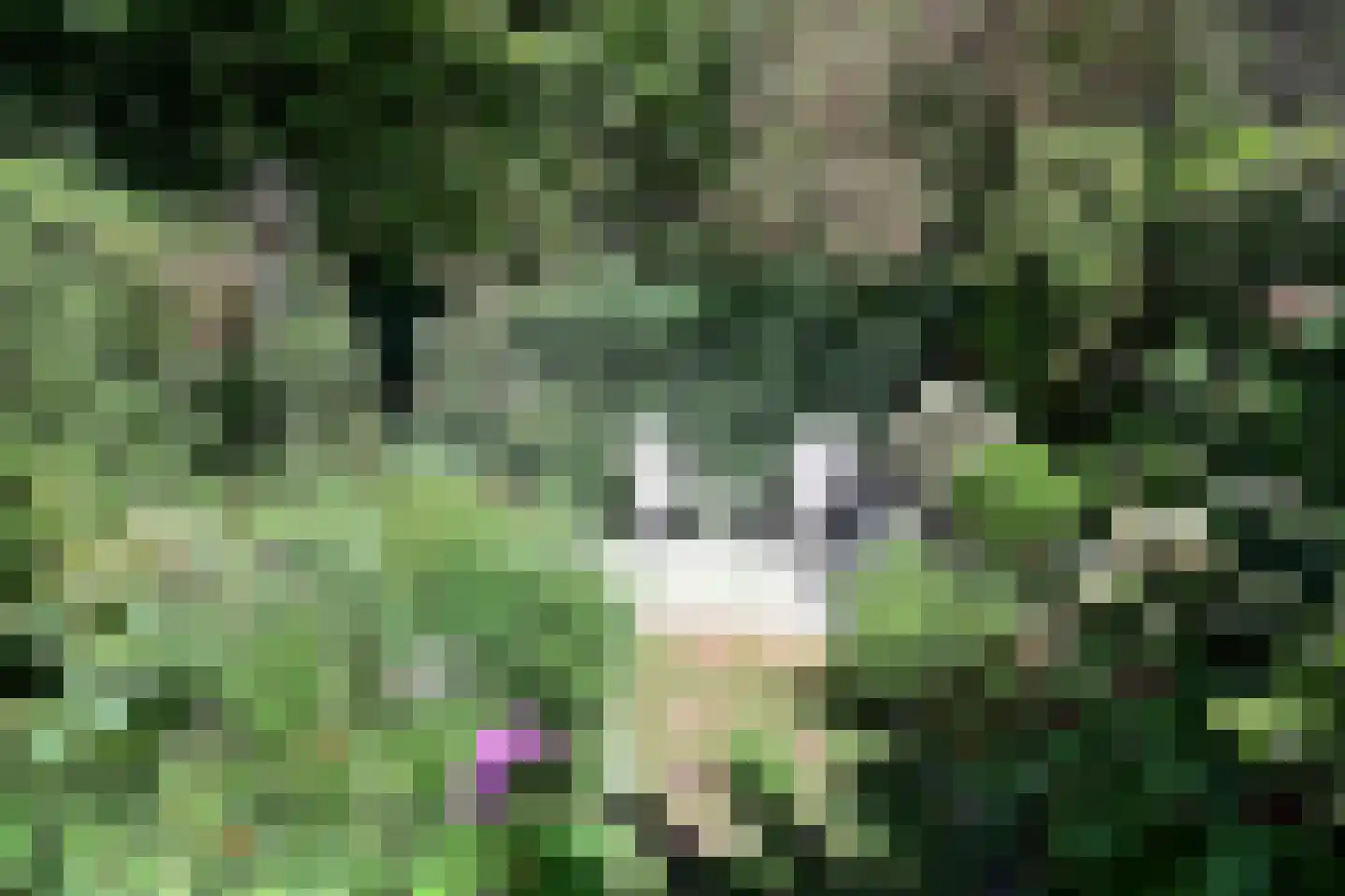 Hoofdweg 50 Huizen thumbnail 21