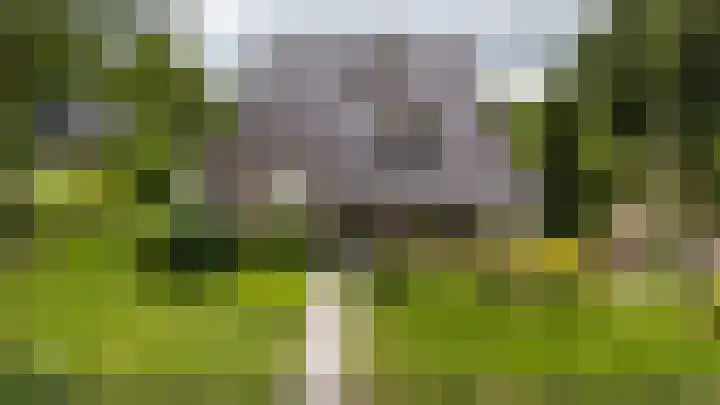 Hoofdweg 50 Kolham thumbnail 18