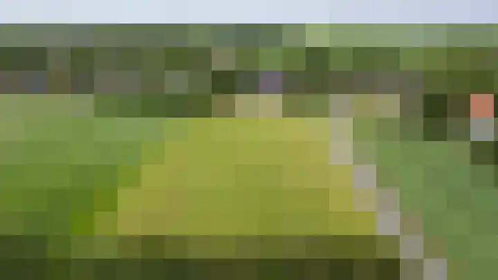 Hoofdweg 50 Kolham thumbnail 21