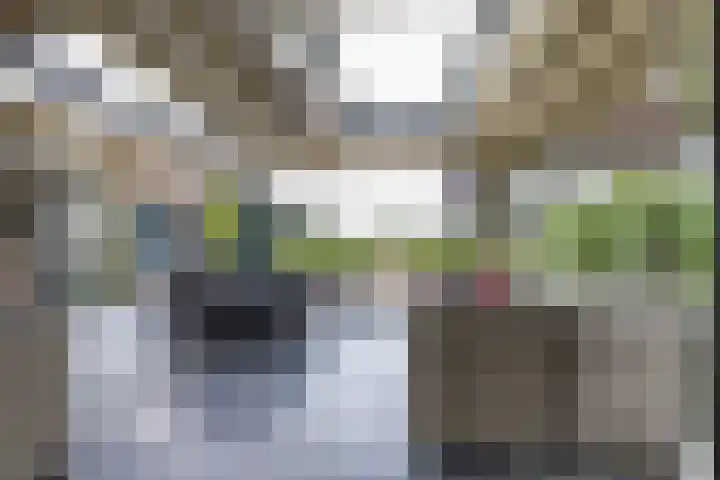 Hoofdweg 50 Kolham thumbnail 29