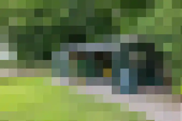 Hoofdweg 50 Kolham thumbnail 36