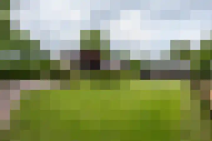 Hoofdweg 50 Kolham thumbnail 38