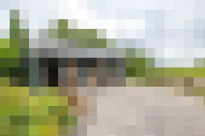 Hoofdweg 50 Kolham thumbnail 39