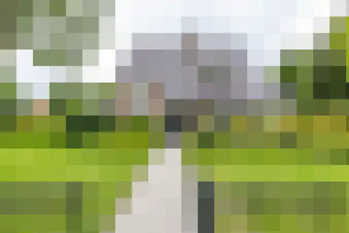 Hoofdweg 50 Kolham thumbnail 4