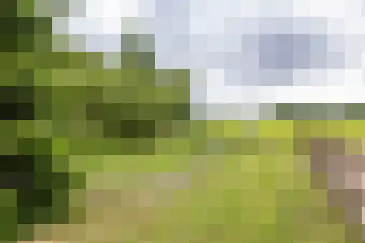 Hoofdweg 50 Kolham thumbnail 43