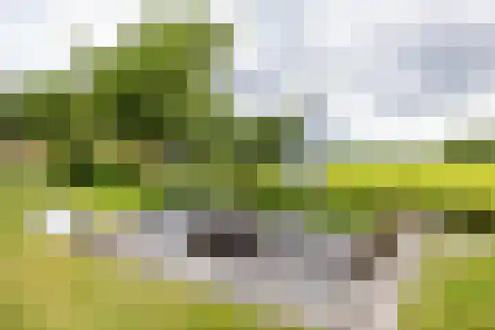 Hoofdweg 50 Kolham thumbnail 44