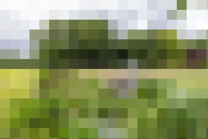 Hoofdweg 50 Kolham thumbnail 46