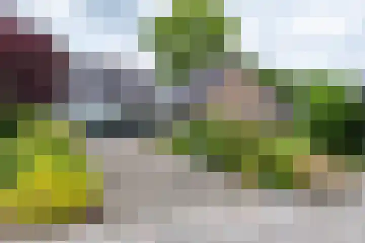 Hoofdweg 50 Kolham thumbnail 47