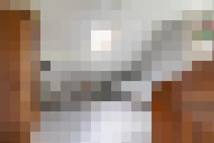 Hoofdweg 50 Kolham thumbnail 54