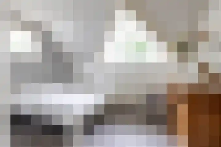 Hoofdweg 50 Kolham thumbnail 56