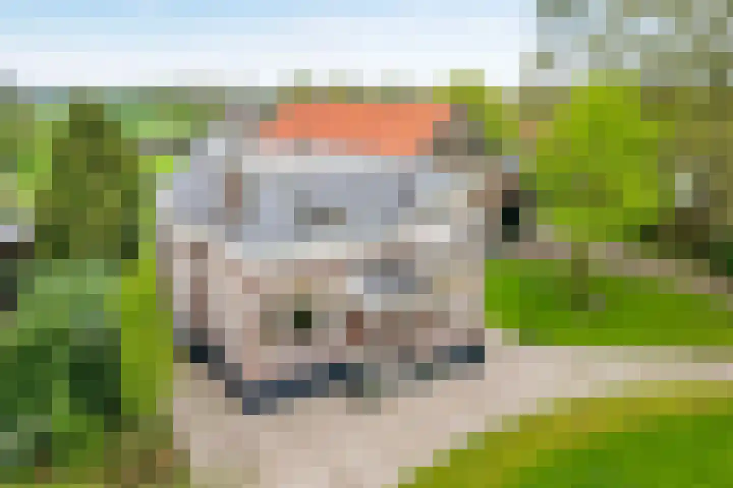 Hoofdweg 52 De Krim thumbnail 4